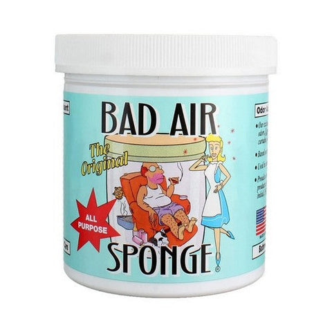 Bad Air Sponge, All Purpose Sponge, 14 Oz Bad Air Sponge